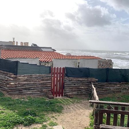 Anzio A Picco Sul Mare! Lejlighed Eksteriør billede